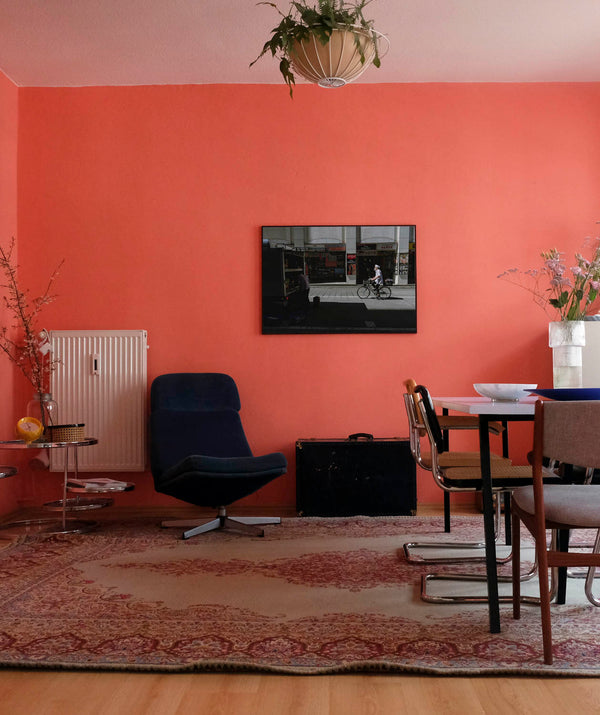 A modern living room with a bold coral wall, a navy blue lounge chair, and a vintage-patterned rug. A touch of greenery and sleek minimalistic furniture complete the urban aesthetic