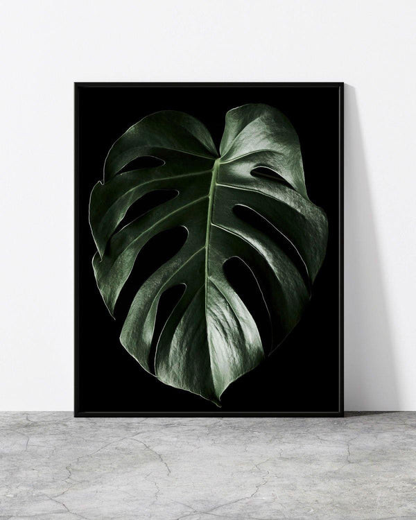 A wall poster Botanicus V2 designed by North Minimal featuring a single green leaf set against a black background. 