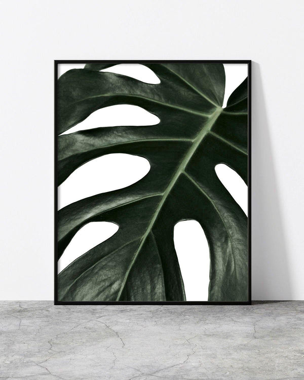 A wall poster Botanicus V3 designed by North Minimal featuring a single green leaf set against a white background. 