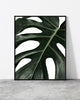 A wall poster Botanicus V3 designed by North Minimal featuring a single green leaf set against a white background. 