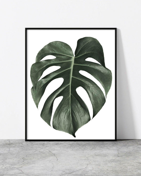 A wall poster Botanicus V4 designed by North Minimal featuring a single green leaf set against a white background. 