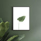 Botanicus V5 by North Minimal